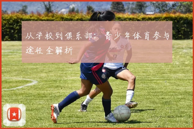 从学校到俱乐部：青少年体育参与途径全解析