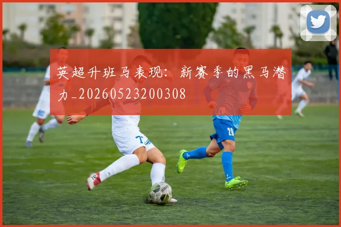 英超升班马表现：新赛季的黑马潜力_20260523200308
